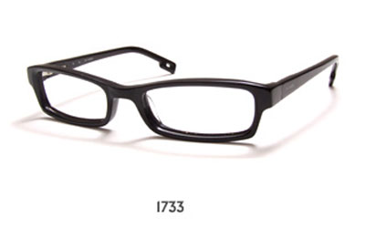 Jai Kudo 1733 glasses