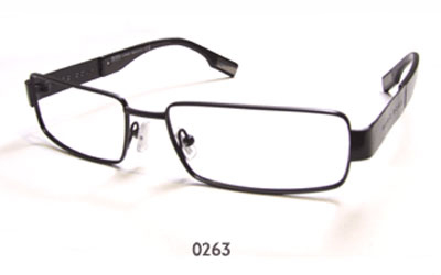 Hugo Boss 0263 glasses