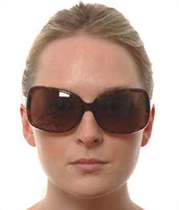Dior Dior Mini 1 sunglasses