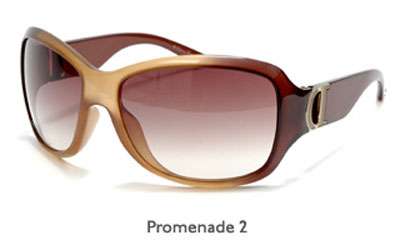 Dior Promenade 2 sunglasses