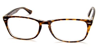 Ray-Ban RB 5228M glasses