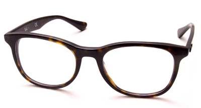 Ray-Ban RB 5356 glasses