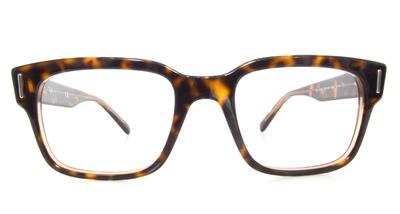 Ray-Ban RB 5388 glasses