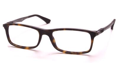 Ray-Ban RB 7017 glasses