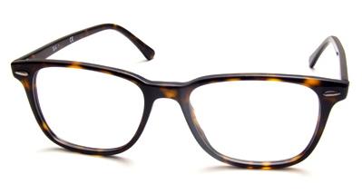 Ray-Ban RB 7119 glasses