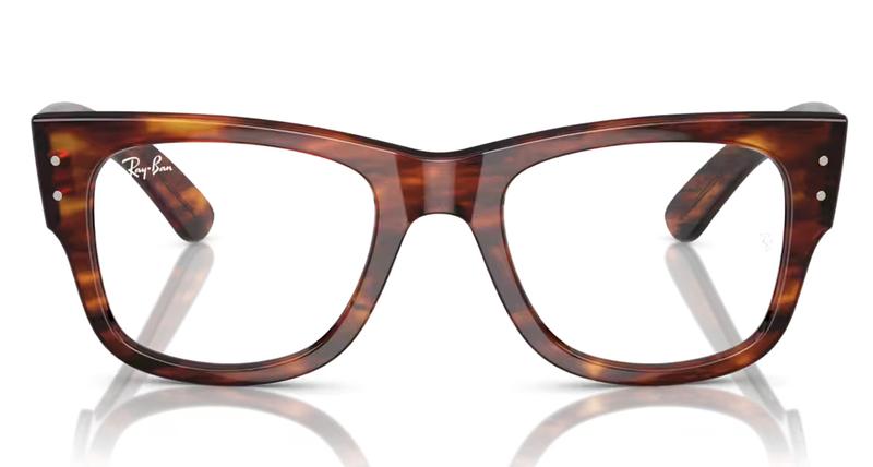 Ray-Ban RB0840V glasses