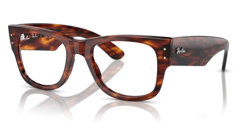 Ray-Ban RB0840V glasses